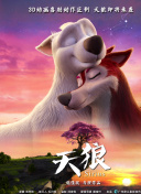 魅影骑士：玩家分享的成功攻略与经验